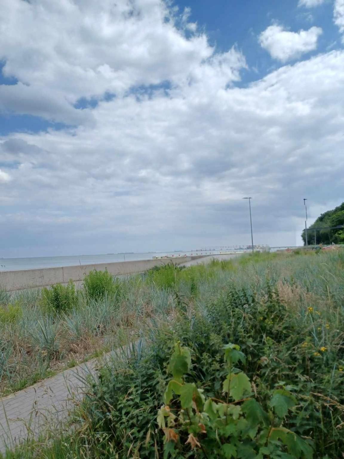 Domek Holenderski, Ogrod, Blisko Plazy, Gdynia Wakacje Na Luzie Exterior photo
